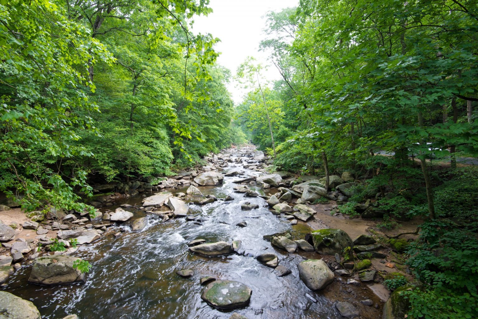 A scenic view of a river winding through a dense forest with large rocks in the water.
