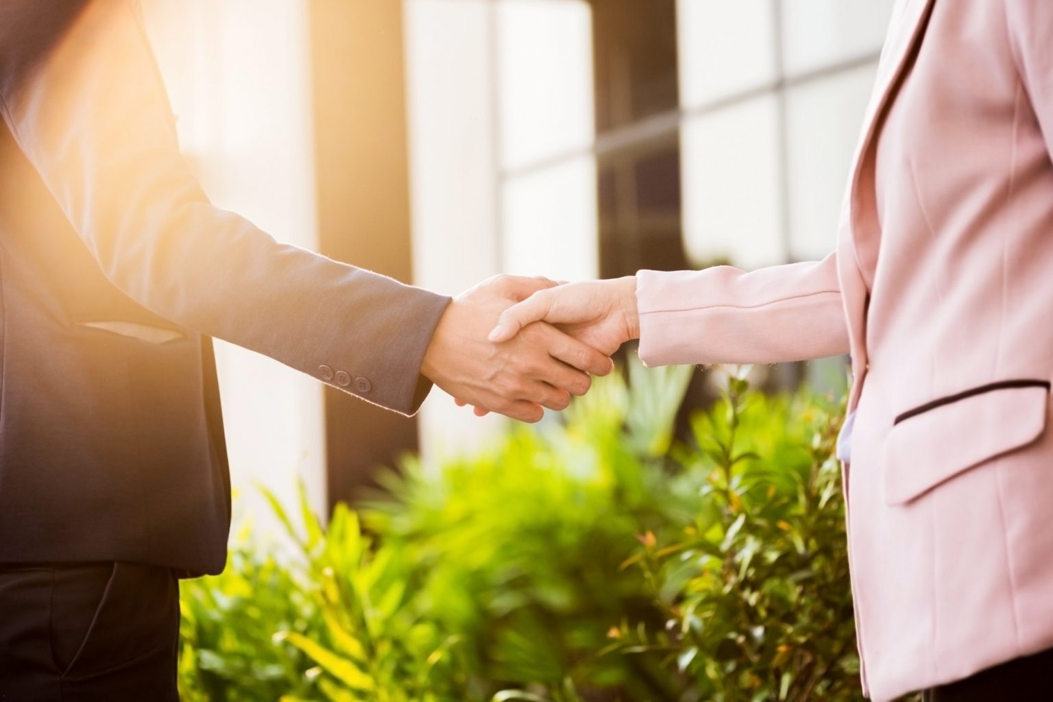 A close-up of two people shaking hands outdoors. The person on the left is wearing a dark suit jacket and the person on the right is wearing a light pink jacket. Sunlight is shining through from the left.