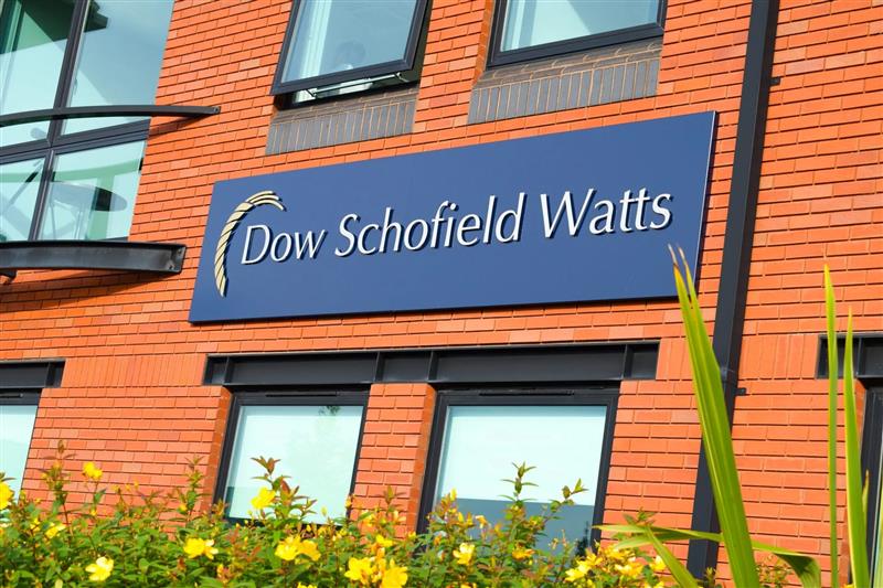 The Dow Schofield Watts logo on a blue background against the external wall of an office.