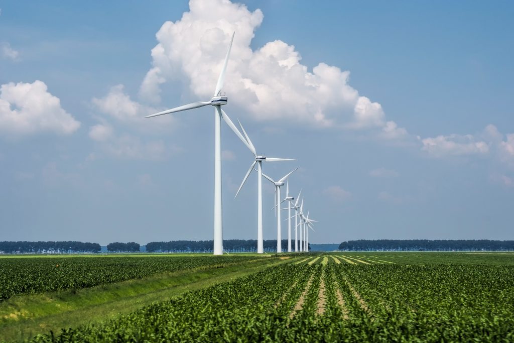 A wide-angle shot of a grass-covered field with wind turbines grass